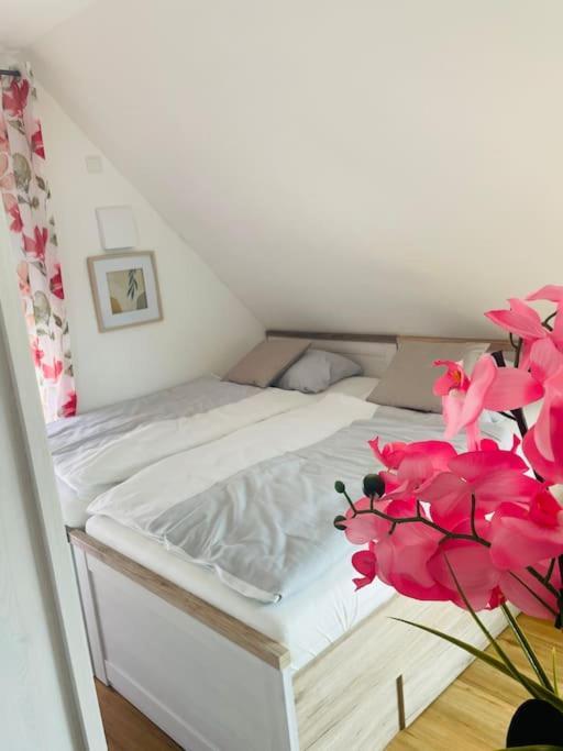 Apartment Scholle Steinbeck Recke Luaran gambar